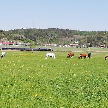 Stuga Pa Hammarbergs Gard Kungsbacka Extérieur photo
