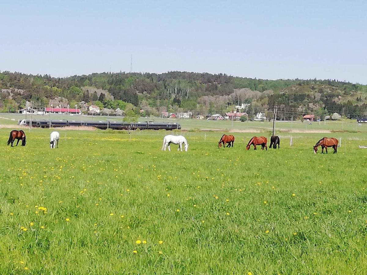 Stuga Pa Hammarbergs Gard Kungsbacka Extérieur photo